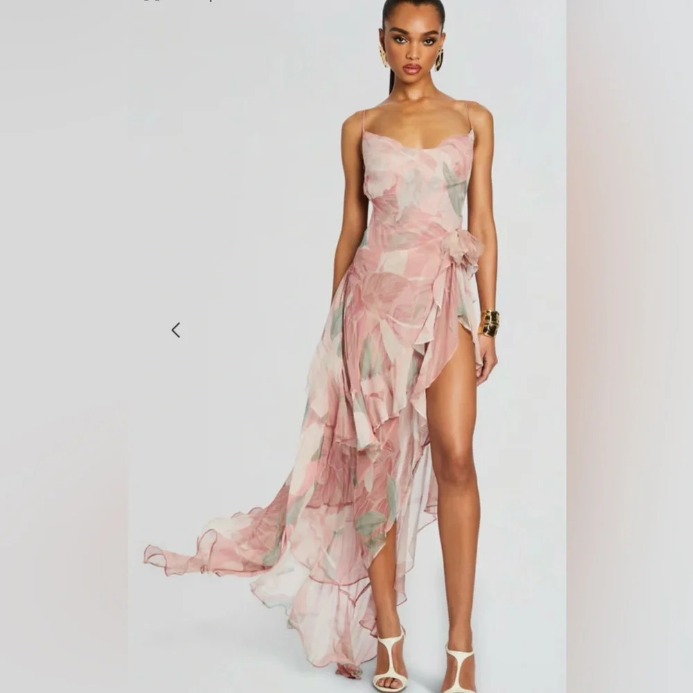 Retrofete Samara Silk Chiffon Dress in Dusty Pink Botanical $798 - Picture 6 of 16